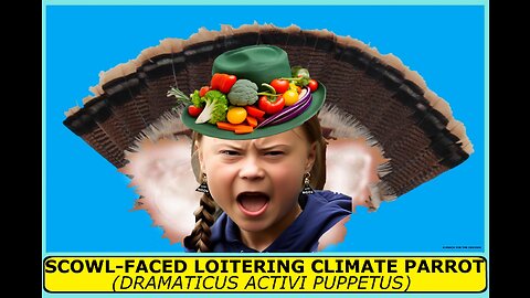 Greta Thunberg: Bird of the Week! Scowl-faced Loitering Climate Parrot (Clueless Cash-cow Cockatoo)
