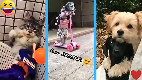 The Funniest Cat and Dog Videos You'll Ever See 😂😍