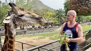 Khao Kheow Open Zoo Pattaya Thailand ~ สวนสัตว์เปิดเขาเขียว