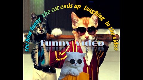 Cat fanny video 😺- rumble fanny video, rumble vairal video.