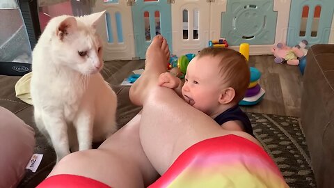 Some funny moments between the cat and the kid