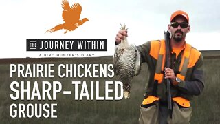 Prairie Chicken and Grouse: The Journey Within - A Bird Hunter's Diary | Mark V Peterson