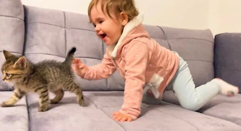 Cute Baby Meets New Baby Kitten For The First Time