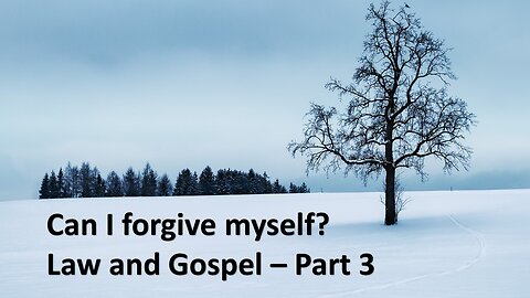 Sermon Only | Can I forgive myself? - Law and Gospel - Part 3 | January 14, 2024