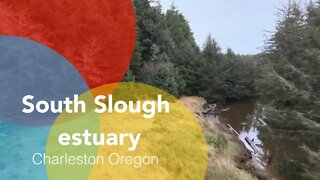 DJI Mavic Air 2 footage Coos Bay OR. South Slough