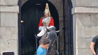 Look out there is horse in front of you #horseguardsparade