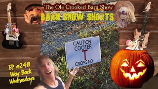 "Barn Show Shorts" Ep. #240 “Way Back Wednesdays”