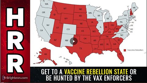 Get to a VACCINE REBELLION state or be HUNTED by the vax enforcers