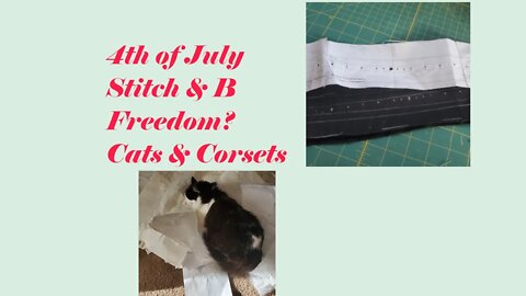 Freedom for the 4th || Sunday Stitch & B*