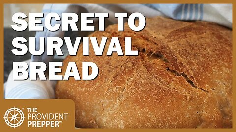 The Secret to Baking Delicious Bread Using Only Wheat, Water and Salt