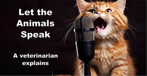 Let the Animals Speak: A veterinarian explains Christmas