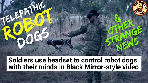 Telepathic Robot Dogs & Other Strange Headlines