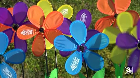 2021 Walk to End Alzheimer's held in the metro this weekend