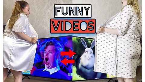 Best Funny Videos 2024 😂 with TV 😺😍