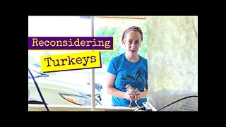 Reconsidering Turkeys | Vlog