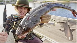 24 HOUR River Monster FISHING CHALLENGE - Eating Only What I Catch! (Shark/Flathead/Eel/Stingray)