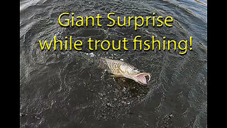 Giant Surprise while Trout Fishing