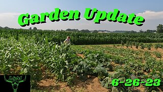 Garden Update 6-26-23