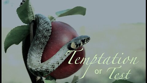 Temptation or Testing