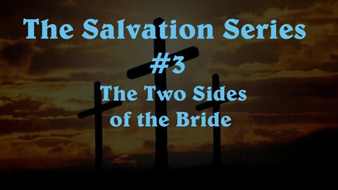 The Salvation Series (3) The Two Sides of the Bride