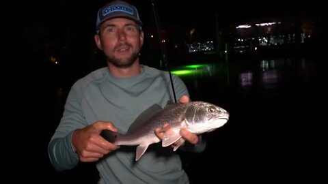 Slammin Redfish and Snook to the Oldies on Saint Pete Beach Dock Lights