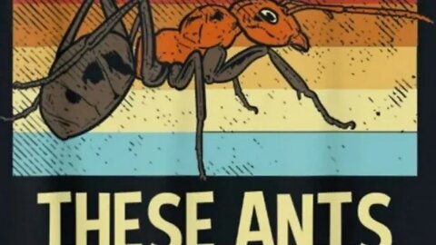 #herewegoagain #djantman #commited #missionnotcomplete #ants