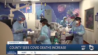 San Diego County sees COVID deaths increase