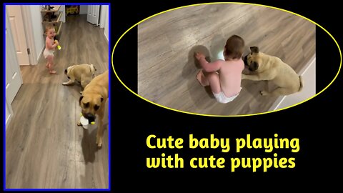 Cute puppies playing | with cute baby👶| #puppies #dog #Entertainment #funny