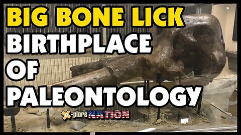 Big Bone Lick State Park: Union, Kentucky