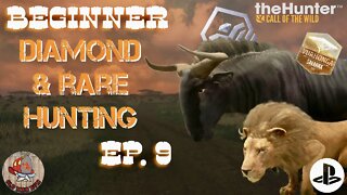 Beginner Diamond & Rare Hunting Ep. 9 theHunter Call of the Wild