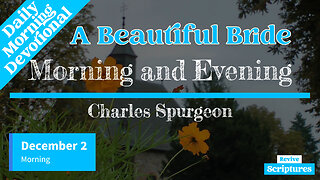 December 2 Morning Devotional | A Beautiful Bride | Morning and Evening by Charles Spurgeon
