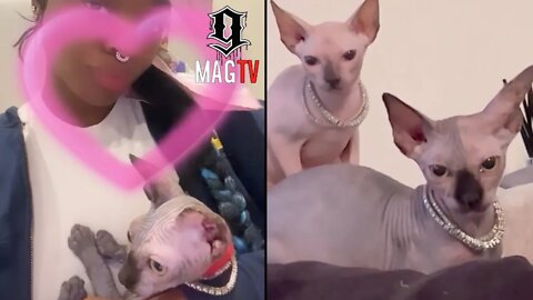 City Girls "JT" Gifted A $6k Sphynx Cat From "BF" Lil Uzi Vert! 🐈