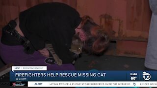 Missing cat rescued by firefighters, reunited with family