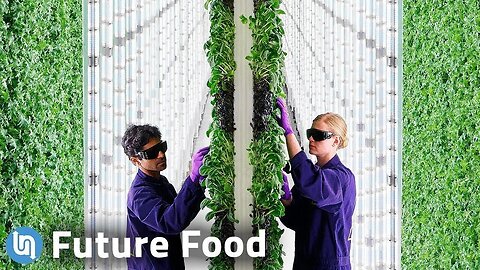 Is Vertical Farming the High Tech Future of Food?