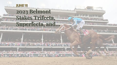 2023 Belmont Stakes Trifecta, Superfecta, and Exacta Picks: Hit Show is Worth Watching