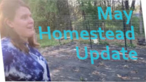 Homestead Update for May, BIG Garden Plans, Overflowing on Rabbits, Chickens and More