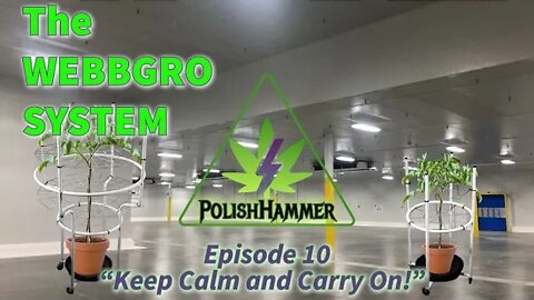 WebbGro System Ep.10 "Keep Calm and Carry On!" 🕸🌲👽🔨 #WEBBGRO #NORTHGENETICS #SPIDERFARMER DAY50