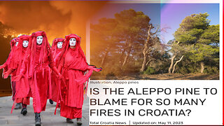 Greek Wildfires! Nature or Negligence?