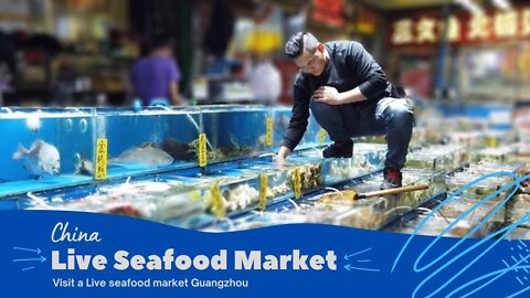 Live Seafood Market in China will blow your mind