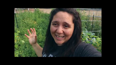 Quick Garden Tour & New Camera - Canon M50