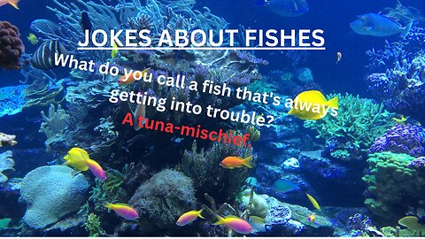 FISH JOKES,FISH PINE,JOKES ABOUT FISHES