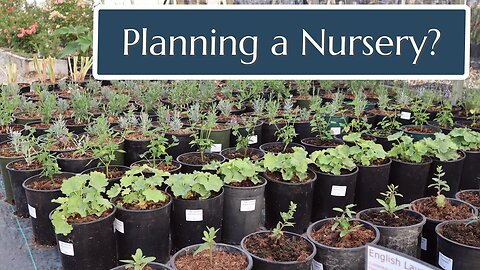 Planning a Plant Nursery? Sit In on This Conversation