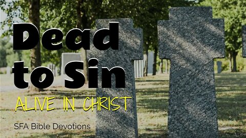 Dead to Sin Alive in Christ - Romans 6 | Bible Devotions | Small Family Adventures