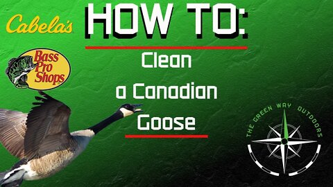 How To- Clean A Goose
