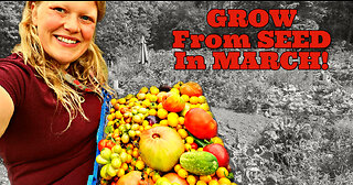 Sowing TOMATOES from SEED in March: GARDEN and ALLOTMENT Planning & Varieties