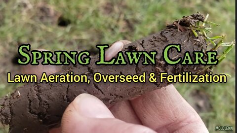 Spring Lawn Care