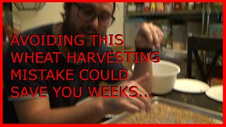 BSH - Save Weeks Avoiding This Simple Wheat Harvesting Mistake