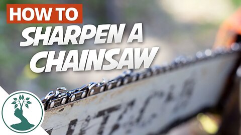 Sharpening A Chainsaw With A File Out In The Field