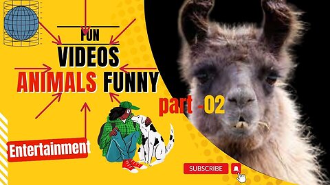 Animals Crazy Moments | Episode 084