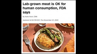 Anyone going to trust lab grown meat?